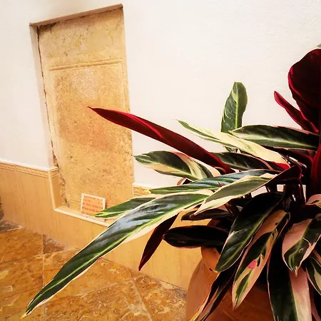 Bed & Breakfast Casa Campana 3*